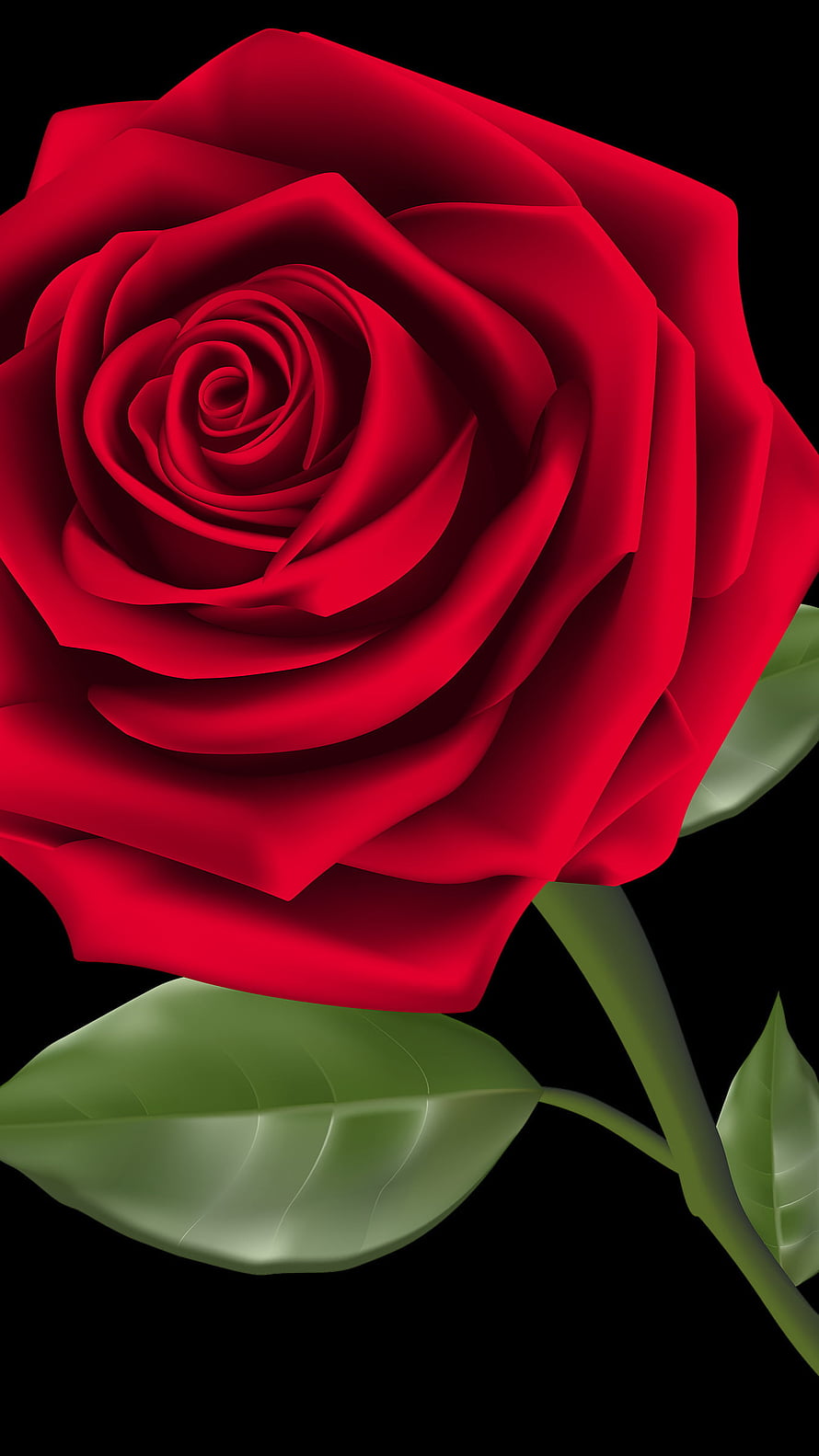 Vibrant Red Rose with Green Leaves on Black Background HD phone wallpaper