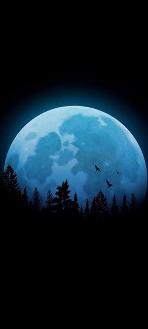 Mystical Blue Moon Rising Over Dark Forest Silhouette With Flying Birds HD phone wallpaper