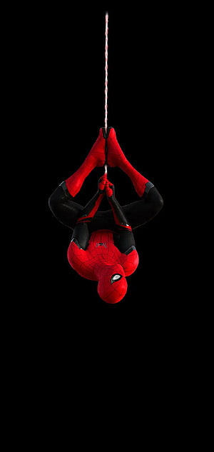 Spider-Man Hanging Upside Down From Web Against Black Background, Spiderman , Spiderman Upside Down HD phone wallpaper