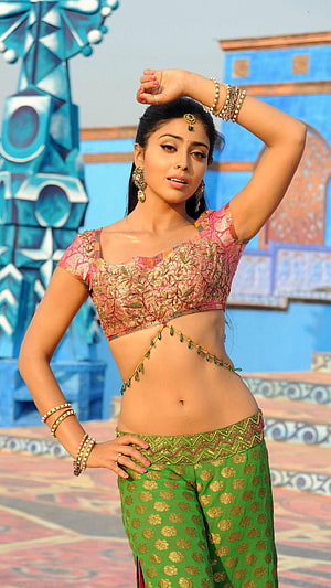 Rashmika Mandanna in Green and Pink Traditional Outfit, Shreya Saran, shreya, saran, telugu actress, shivaji, navel HD phone wallpaper
