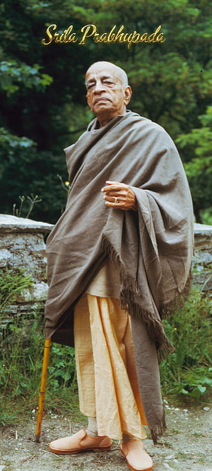 Srila Prabhupada Portrait in Traditional Robes with Walking Cane HD phone wallpaper