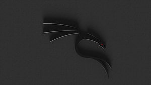 Kali Linux Dragon Logo on Dark Textured Background HD wallpaper