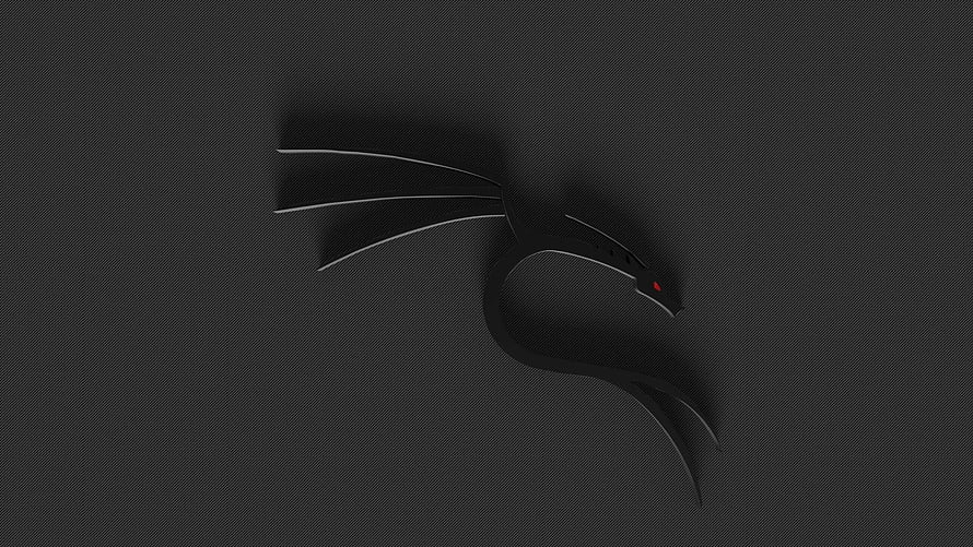 Kali Linux Dragon Logo on Dark Textured Background HD wallpaper
