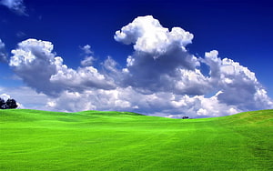 Bliss Windows XP Default Desktop Wallpaper Green Hills Blue Sky HD wallpaper