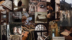 Dark Academia Aesthetic Collage Featuring Vintage Books, Libraries, and Classic Study Scenes HD wallpaper