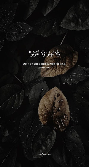 Quran 3:139 Do Not Lose Hope Nor Be Sad Dark Leaves Wallpaper HD phone wallpaper