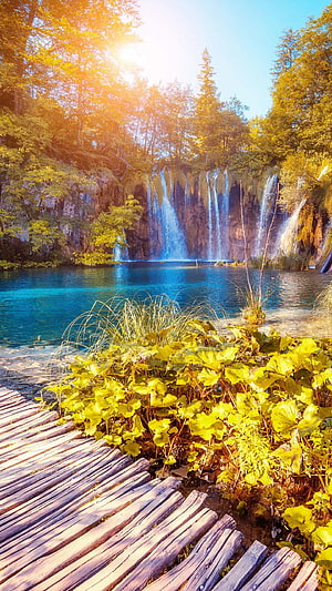 Sunlit Waterfall Cascading Into Turquoise Pool With Wooden Boardwalk HD phone wallpaper