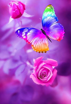 Vibrant Rainbow Butterfly and Pink Roses on a Soft Purple Floral Background HD phone wallpaper