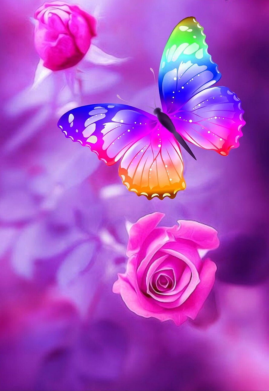 Vibrant Rainbow Butterfly and Pink Roses on a Soft Purple Floral Background HD phone wallpaper