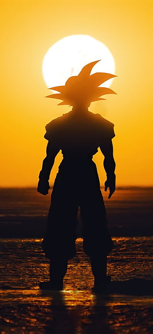 Silhouette of Goku Standing on Beach at Sunset with Spiky Hair HD phone wallpaper