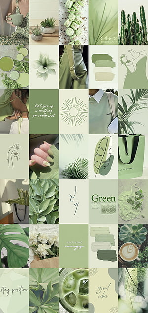 Green Aesthetic Mood Board Featuring Plants, Fashion, and Positive Vibes HD phone wallpaper