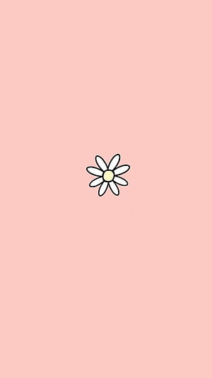 Minimalist White Daisy on Soft Pink Background HD phone wallpaper