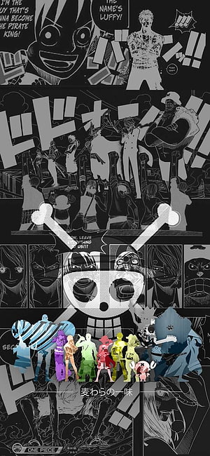 One Piece Straw Hat Pirates Jolly Roger and Crew Members Black and White Anime Collage HD phone wallpaper