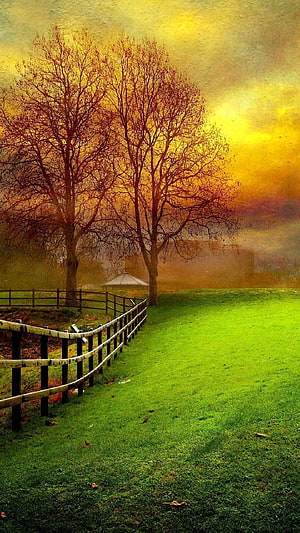 Serene Autumn Landscape With Bare Trees And Wooden Fence HD phone wallpaper