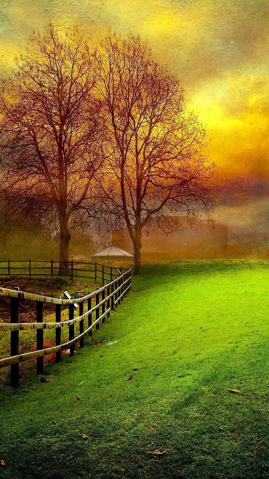 Serene Autumn Landscape With Bare Trees And Wooden Fence HD phone wallpaper
