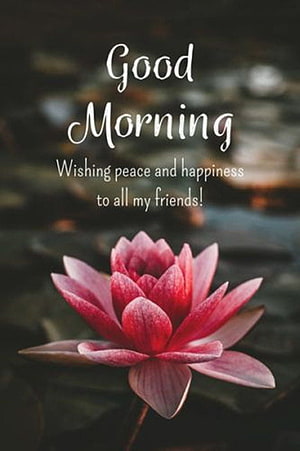 Pink Lotus Flower on Dark Water with Good Morning Greeting Text HD phone wallpaper