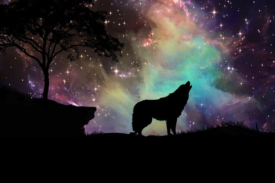 Howling Wolf Silhouette Against Vibrant Cosmic Nebula and Starry Night Sky HD wallpaper