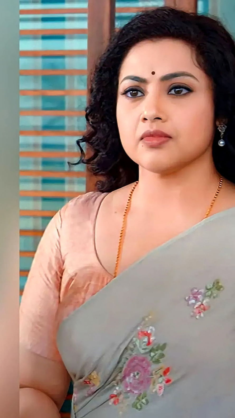 Meena Durai Swamy in a Floral Embroidered Saree with Traditional Jewelry HD phone wallpaper