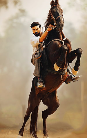 Dhanush Riding a Rearing Horse in Traditional Attire HD phone wallpaper
