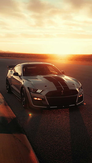 Silver Ford Mustang Shelby GT500 on a desert road at golden hour sunset HD phone wallpaper