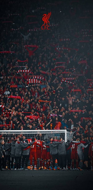 Liverpool FC players celebrating in front of the Anfield crowd with the club crest overhead HD phone wallpaper