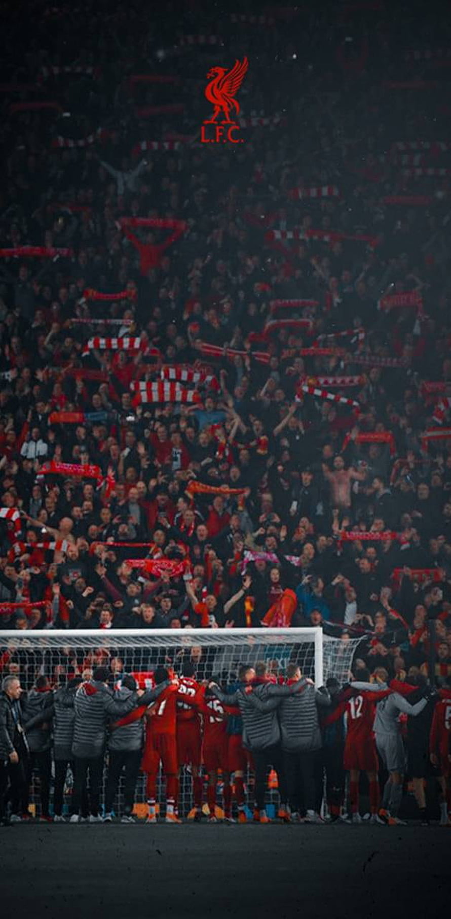 Liverpool FC players celebrating in front of the Anfield crowd with the club crest overhead HD phone wallpaper