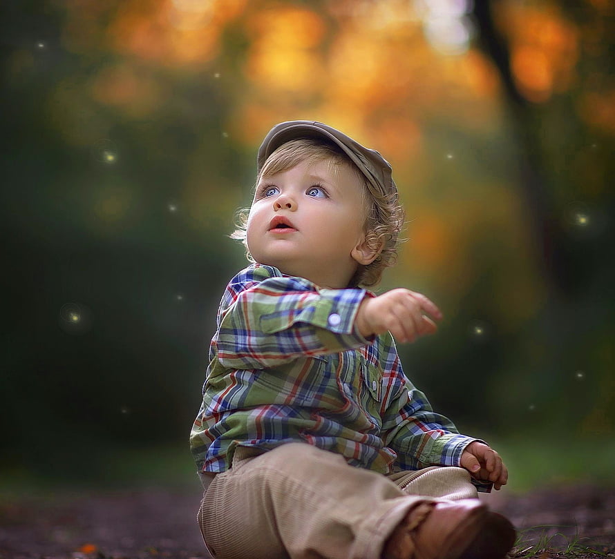 Cute Toddler Boy in Plaid Shirt and Cap Looking Up in Autumn Forest HD wallpaper