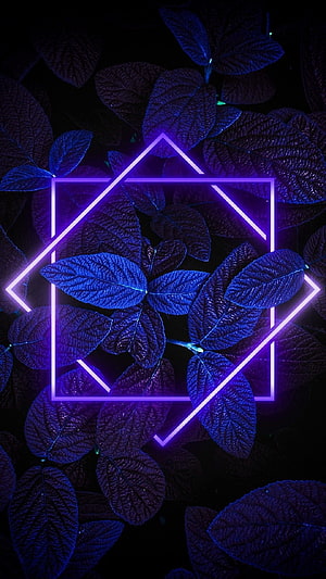 Neon Purple Geometric Hexagon Over Dark Blue Leaves Wallpaper HD phone wallpaper