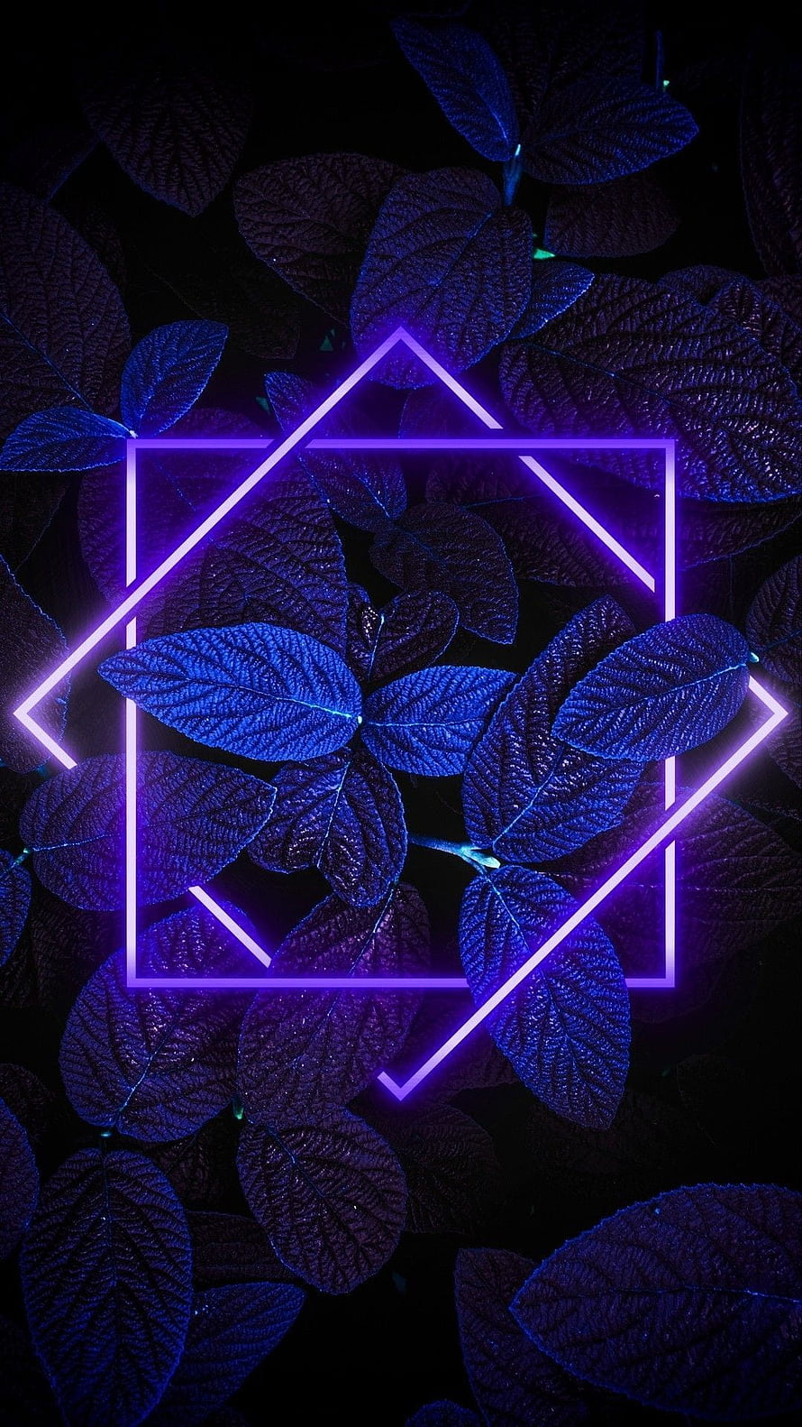 Neon Purple Geometric Hexagon Over Dark Blue Leaves Wallpaper HD phone wallpaper