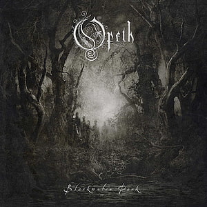 Opeth Blackwater Park Album Artwork Dark Forest Illustration HD phone wallpaper