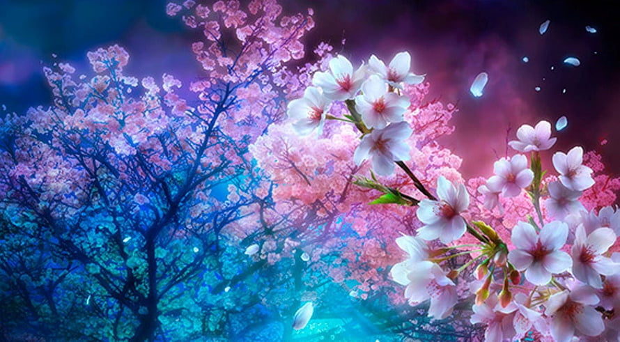 Dark Cherry Blossom Night with Neon Pink and Blue Glowing Petals HD wallpaper