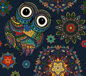 Colorful Mandala Owl Illustration with Intricate Floral Patterns on Dark Background HD wallpaper