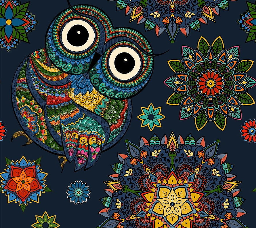 Colorful Mandala Owl Illustration with Intricate Floral Patterns on Dark Background HD wallpaper