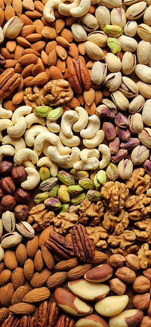 Mixed Nuts Assortment Featuring Almonds, Walnuts, Cashews, Pistachios, Pecans, and Brazil Nuts HD phone wallpaper