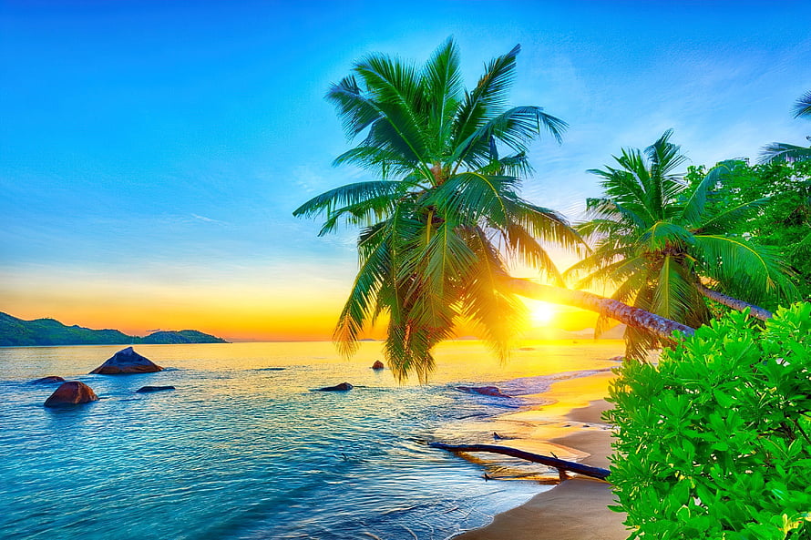 Tropical Beach Sunset With Palm Trees And Golden Ocean Waves HD wallpaper