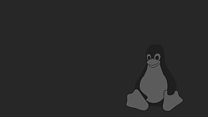 Tux the Linux Penguin Mascot in a Minimalist Dark Monochrome Style HD wallpaper