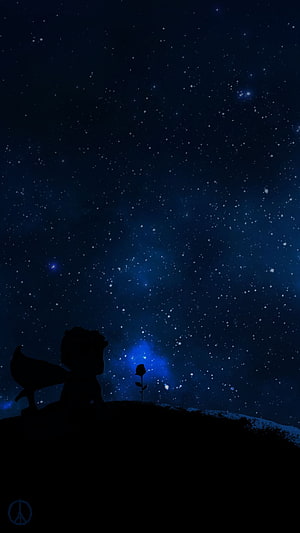 The Little Prince Silhouette Gazing at Starry Night Sky with Rose and Fox HD phone wallpaper