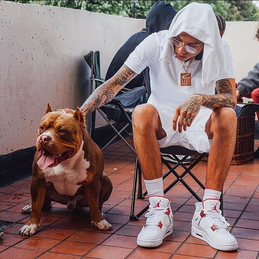 Central Cee in White Streetwear Outfit with Pitbull on Rooftop HD phone wallpaper