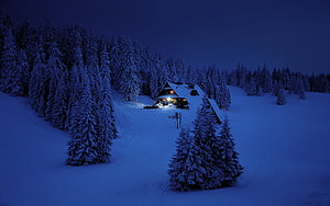 Cozy wooden cabin glowing warmly in a snowy pine forest at night HD wallpaper