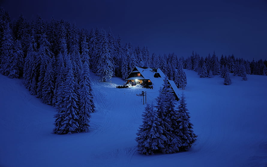 Cozy wooden cabin glowing warmly in a snowy pine forest at night HD wallpaper