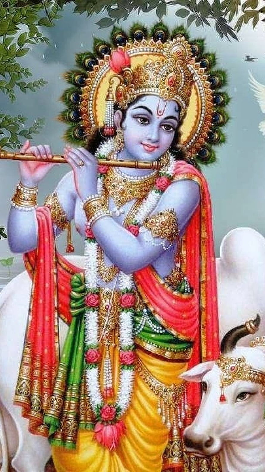 Lord Krishna Playing Flute With Peacock Feather Crown And Sacred Cow HD phone wallpaper
