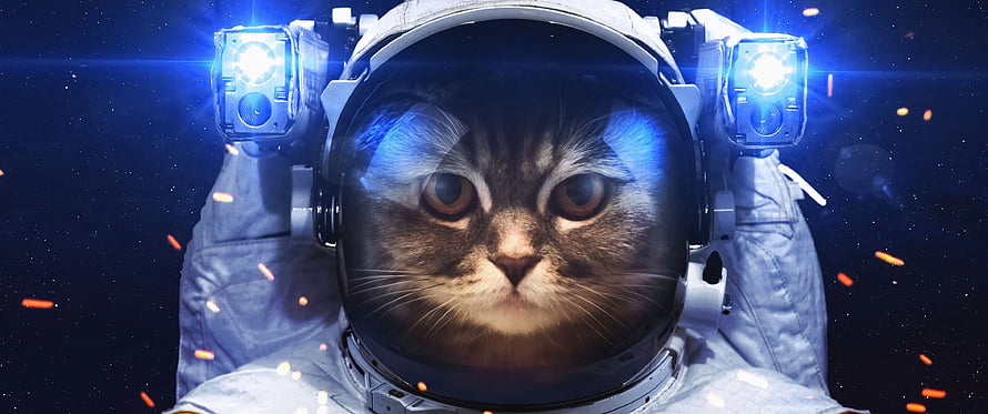 Cute Tabby Cat Astronaut in Spacesuit Helmet Floating in Deep Space with Stars HD wallpaper