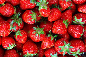Vibrant Close-Up of Fresh Ripe Strawberries with Green Calyxes HD wallpaper