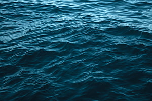 Deep Blue Ocean Surface With Gentle Rolling Waves And Ripples HD wallpaper