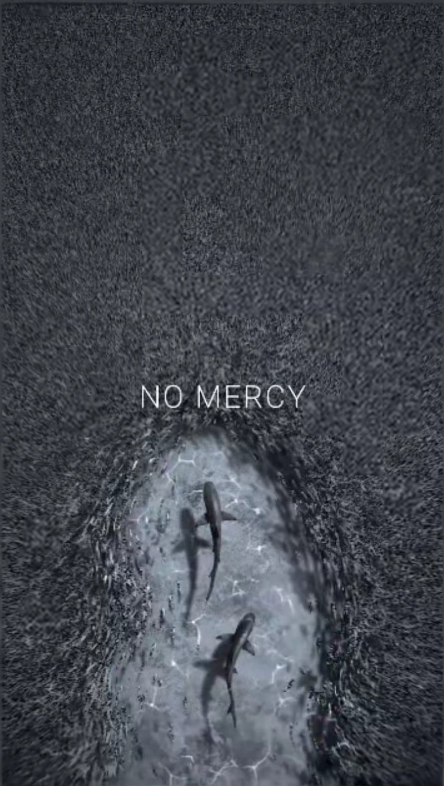 Dark Aerial View of Sharks Swimming in Murky Water with No Mercy Text Overlay HD phone wallpaper