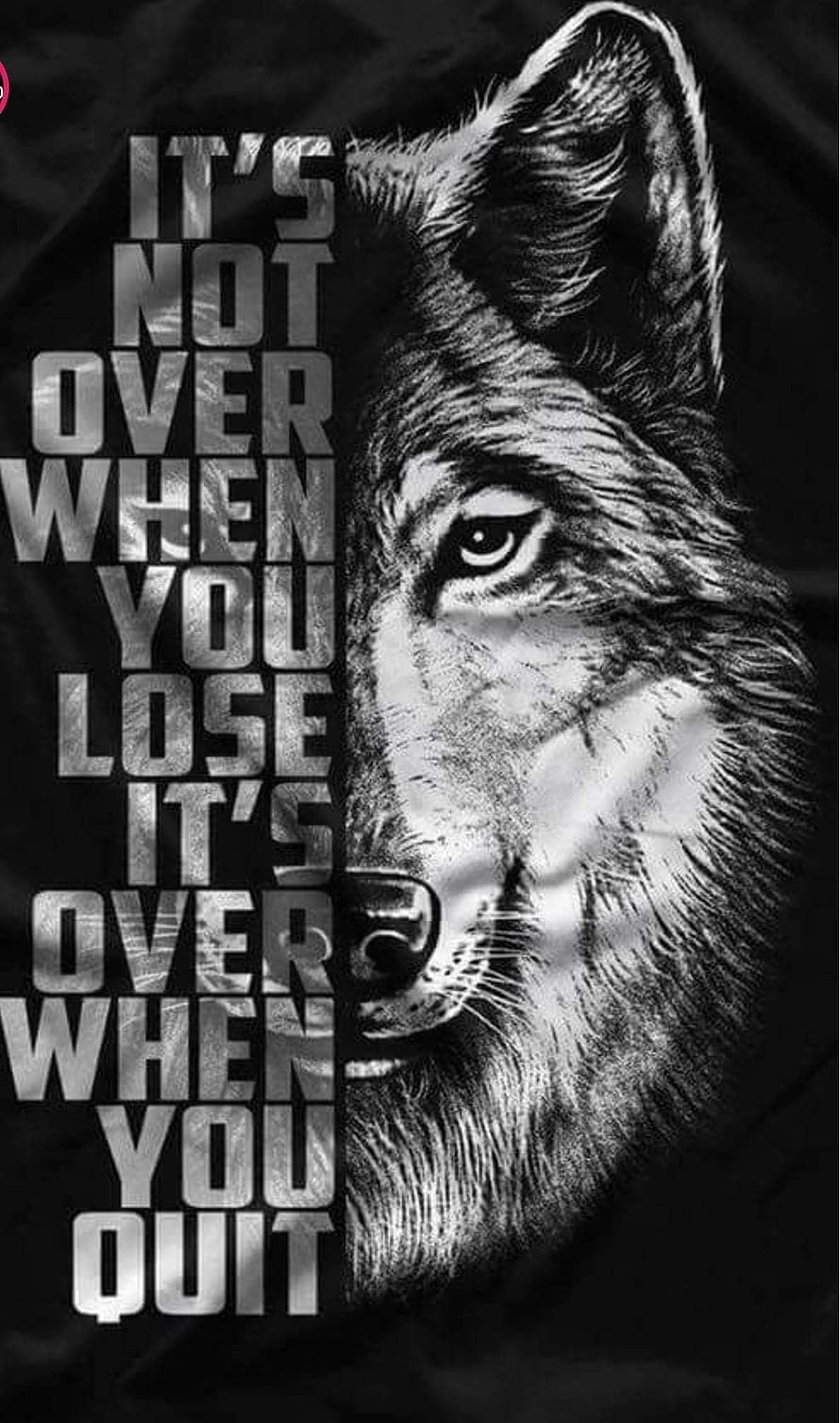 Black and White Wolf Portrait with Motivational Quote on Dark Background HD phone wallpaper