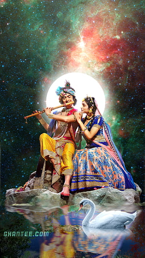 Radha Krishna playing flute on rock with swan and galaxy background HD phone wallpaper