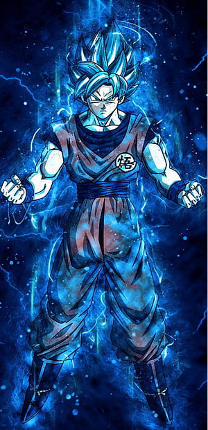 Goku Super Saiyan Blue Dragon Ball Z Anime Character Wallpaper HD phone wallpaper