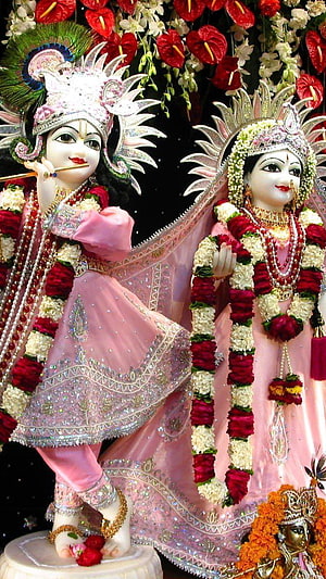 Radha Krishna idols adorned in pink silk and floral garlands for Durga Puja celebration HD phone wallpaper