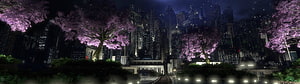 Nighttime cityscape with glowing purple cherry blossom trees and futuristic skyscrapers HD wallpaper